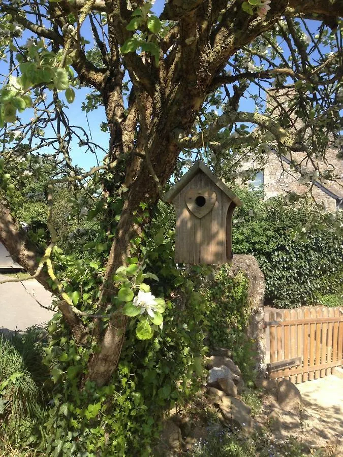 La Suite Tremignon Megrit Guest house